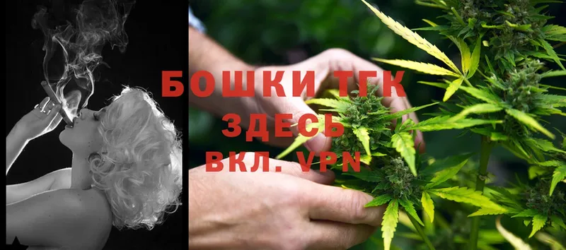 Конопля OG Kush  наркошоп  Чкаловск 